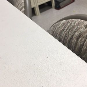 Meet your Posher, Holly